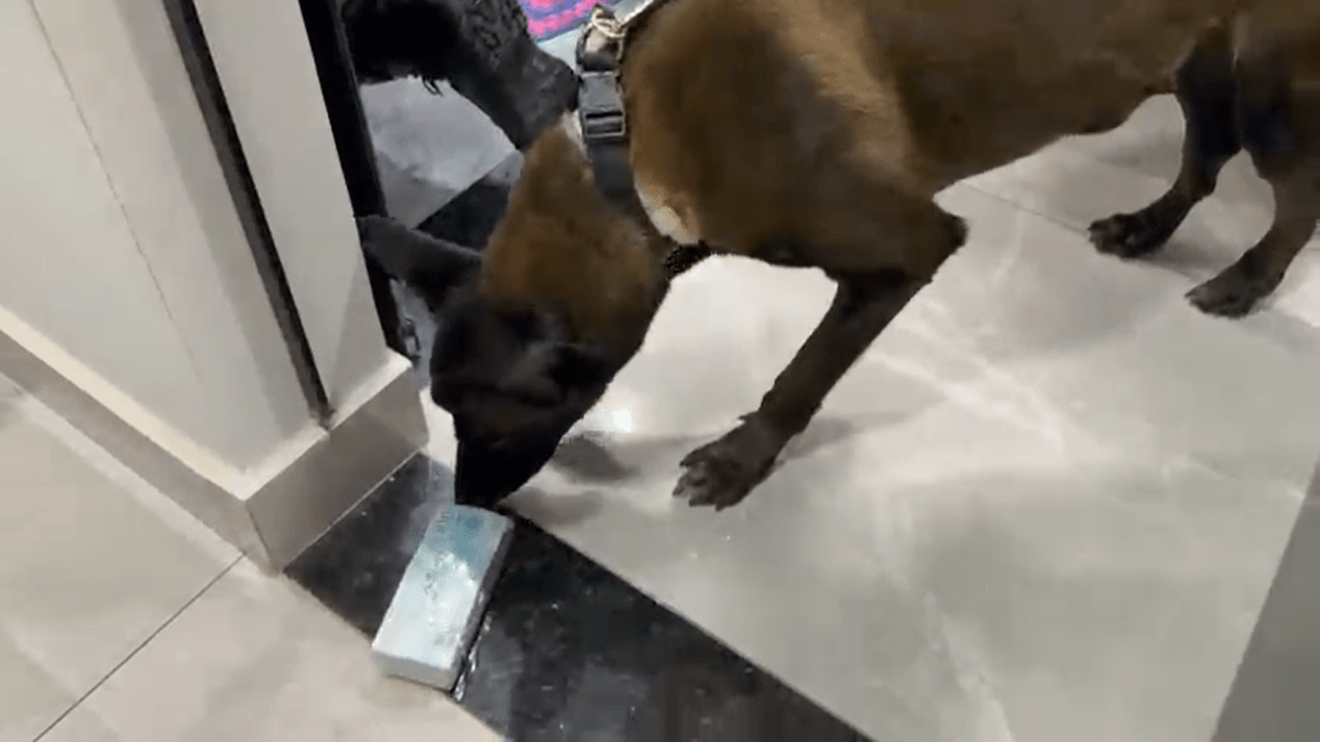 PF mira tráfico internacional de drogas ligado ao PCC em São Paulo