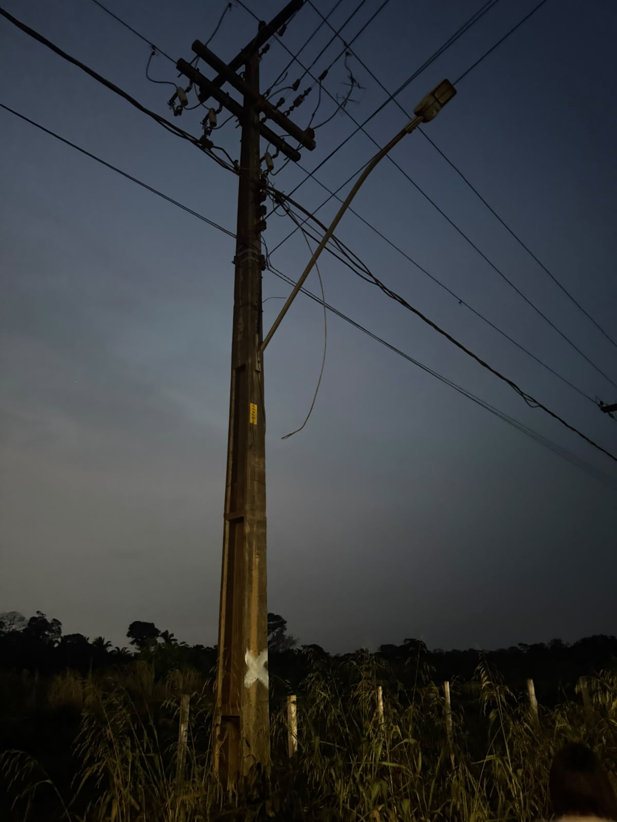 Edimilson Dourado solicita serviços de poda de árvores na Zona Sul para prevenir quedas e desabastecimento de energia