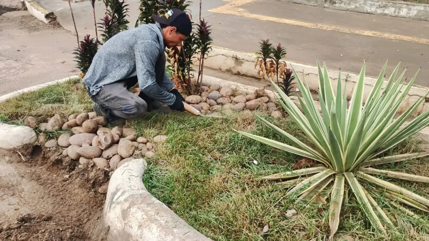 Início da manutenção dos jardins de chuva em Porto Velho