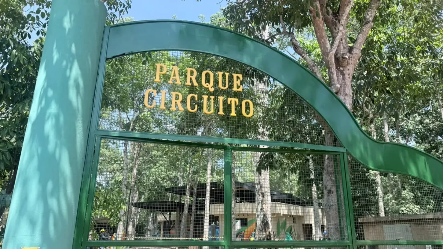 Parque Circuito reabriu suas portas com atrações atualizadas e iniciativas de educação ambiental