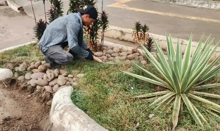 Início da manutenção dos jardins de chuva em Porto Velho