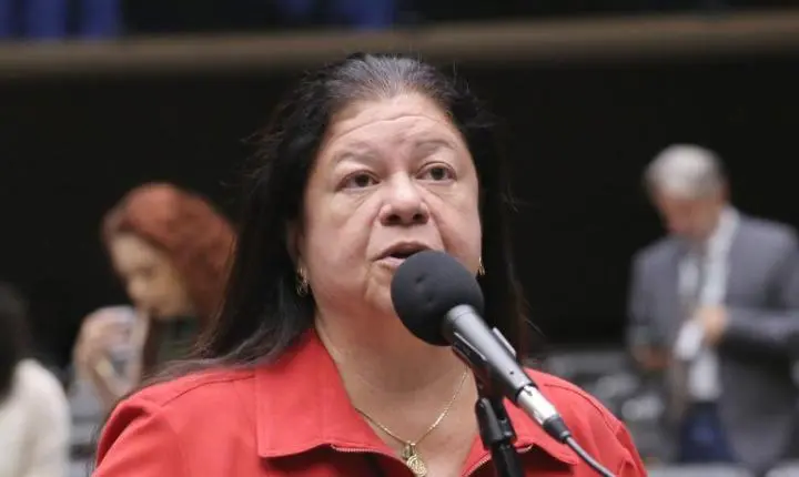 Lei define regras para a guarda compartilhada de pets