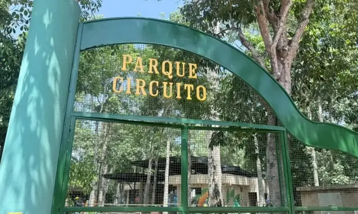 Parque Circuito reabriu suas portas com atrações atualizadas e iniciativas de educação ambiental